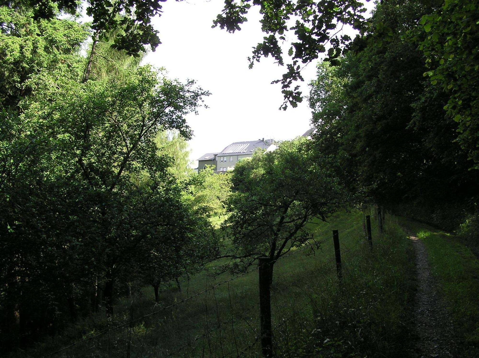 Ferienwohnung Nisius Geisfeld (Rhineland-Palatinate) Exterior foto